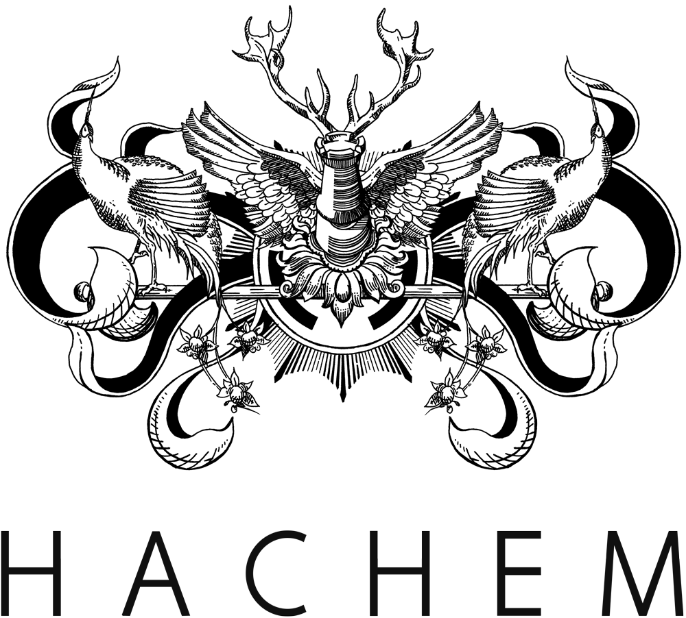 Hachem Logo